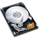 Seagate Momentus 5400.6 500GB (ST9500325AS)