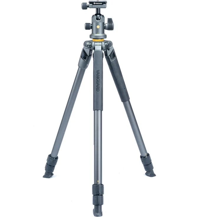 Alta Pro 2 263 AB 100