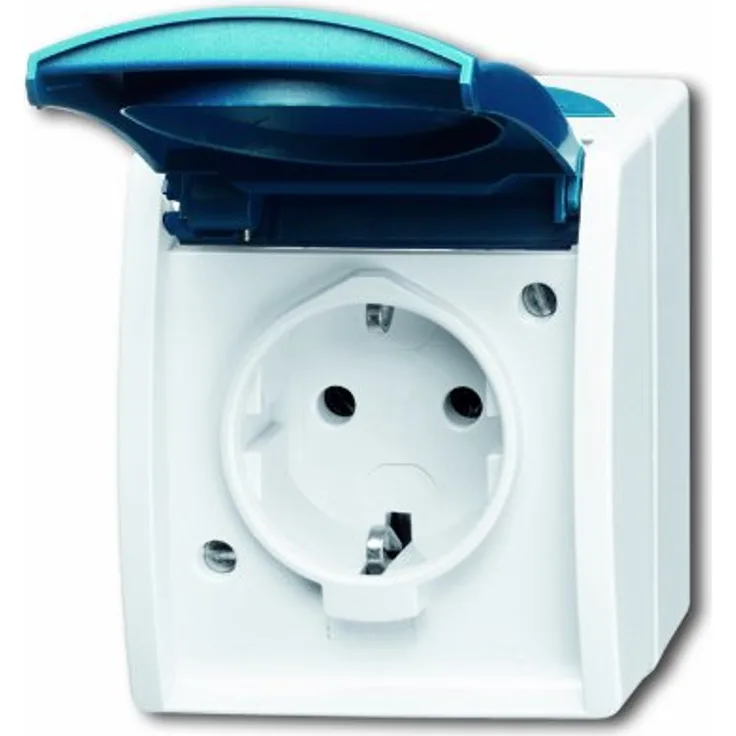 Busch-Jaeger BUSC Steckdose 20 EWN-53 Ocean