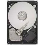 Seagate ST3250318AS Barracuda 7200.12 250 GB
