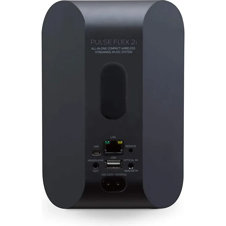 Bluesound Pulse FLEX 2I Multiroom-Lautsprecher mit Alexa, Webradio, geeignet für Indoor, Outdoor, schwarz – Bild 3