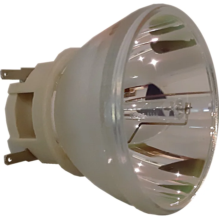 PHILIPS Beamerlampe Ersatzlampe für CANON LV-LP40