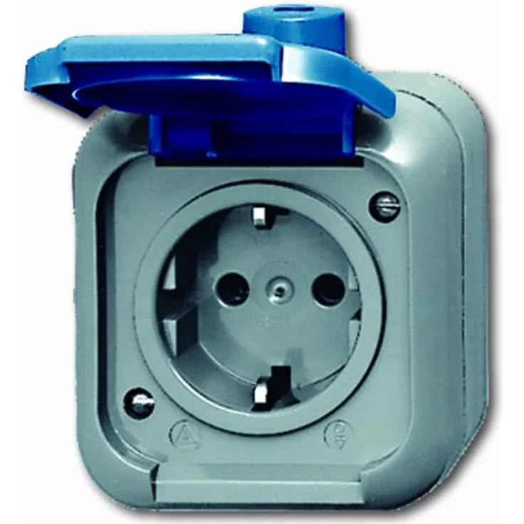 Busch-Jaeger BUSC AP-Steckdose SCHUKO 2300 EWSI