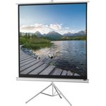 Stativleinwand Celexon Stativ Economy 1090262 133 x 133 cm Bildformat: 1:1