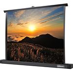 Celexon Leinwände Tischleinwand Professional Mini Screen 102 x 76cm