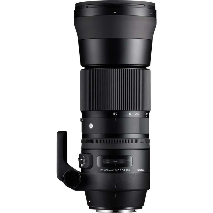 Sigma 150-600mm F5,0-6,3 DG OS HSM Contemporary Objektiv (95mm Filtergewinde) für Canon Objektivbajonett – Bild 2