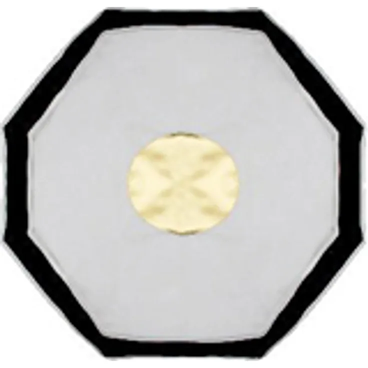 Aurora Frontdiffusor für Firefly II Beauty Box FBO 50 (FSO 50G) mit gold. Deflektor