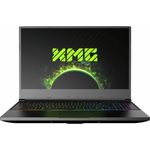 Schenker XMG NEO 15 Gaming-Laptop - 15,6 Zoll (39,6cm) Full HD, AMD Ryzen 7 5800H, 16GB RAM, 1000GB SSD, Windows 10 Home 64-bit, NVIDIA GeForce RTX 3070 (10505683)