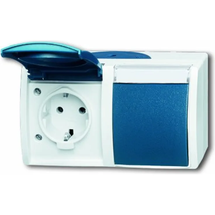 Busch-Jaeger BUSC Steckdose 20-2 EWN-53 Ocean waagerecht