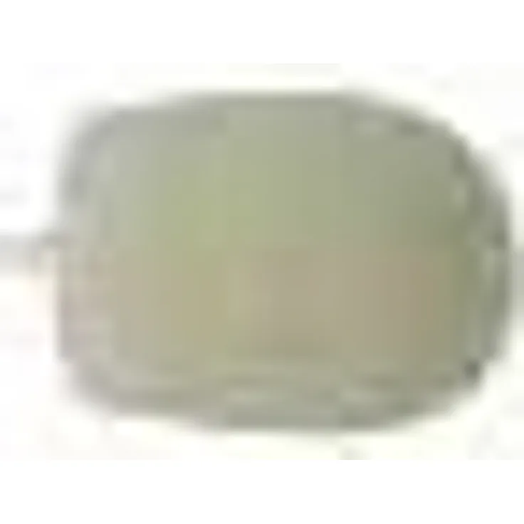 The T.Bone Windschutz für Earmic 500