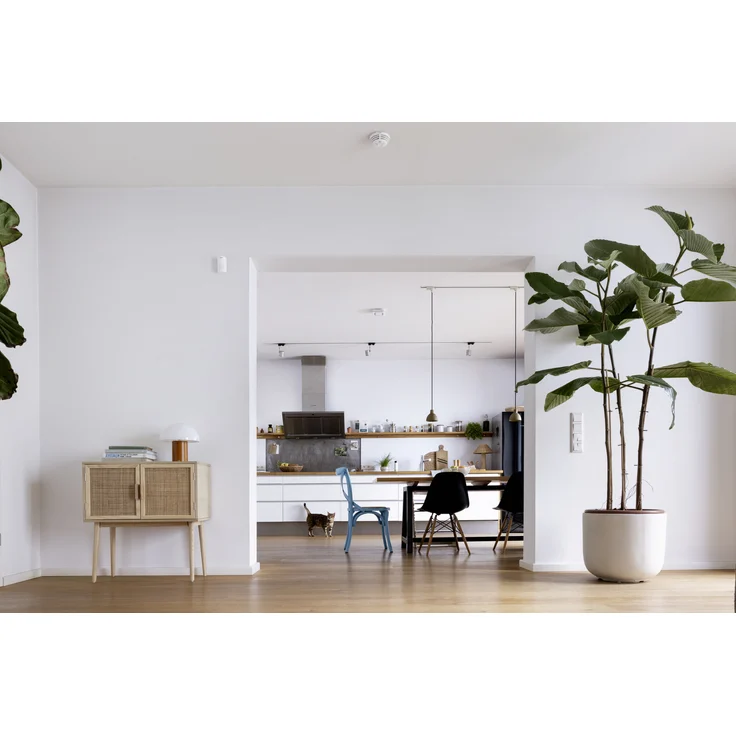 Bosch Smart Home Bewegungsmelder mit App-Funktion, kompatibel mit Apple HomeKit - Variante für Deutschland und Österreich, weiß (8750000018) – Bild 8
