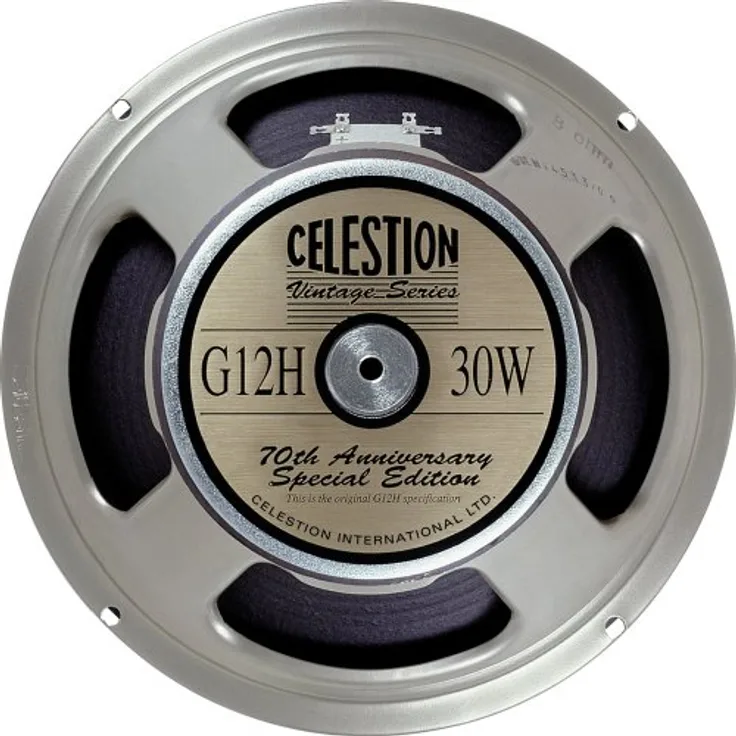 GP Acoustics G12H-30-8