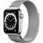 Apple Watch Series 6 Smartwatch GPS + Cellular, 40mm, Edelstahlgehäuse Silber, Milanese Loop Silber
