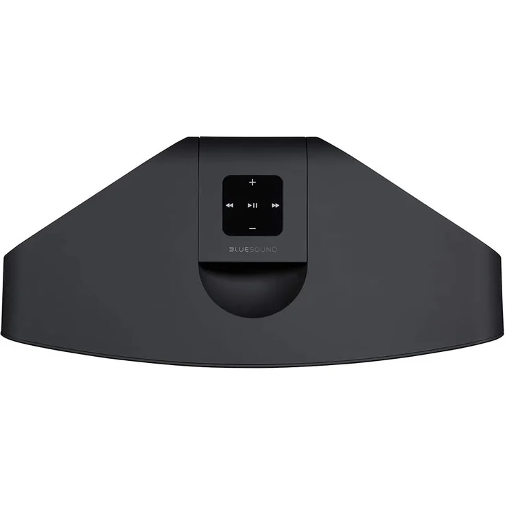 Bluesound Pulse 2i Multiroom-Lautsprecher mit Alexa, Webradio, geeignet für Indoor, Outdoor, schwarz – Bild 4