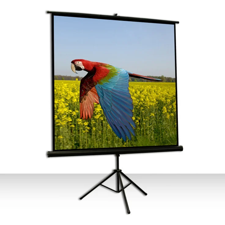 Celexon Stativ Economy 219x219  – Bild 1