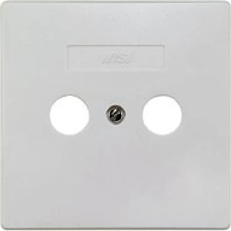 WISI 10789 DW 42 Zentral-Abdeckplatte 2-Loch, 75 x 75 mm weiß