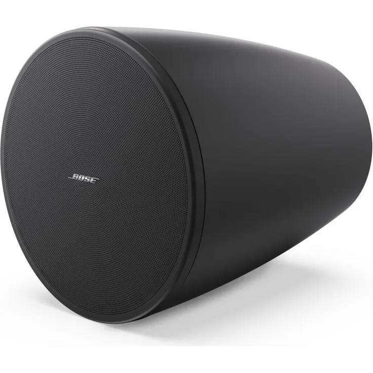 Bose DesignMax DM6PE Lautsprecher schwarz (1 Paar)
