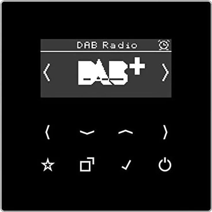 Jung DABLSSW DAB+ Unterputzradio, schwarz