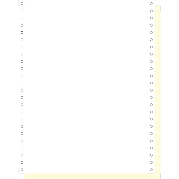 Exacompta 62422E Packung mit 1000 Blatt Computerpapier endlos, 240 mm x 12'' (30,48 cm) 2-fach, 70-57 g-qm, weiß