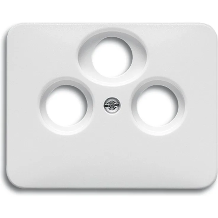 Busch-Jaeger BUSC Zentralscheibe 1743-03-24G alpha nea