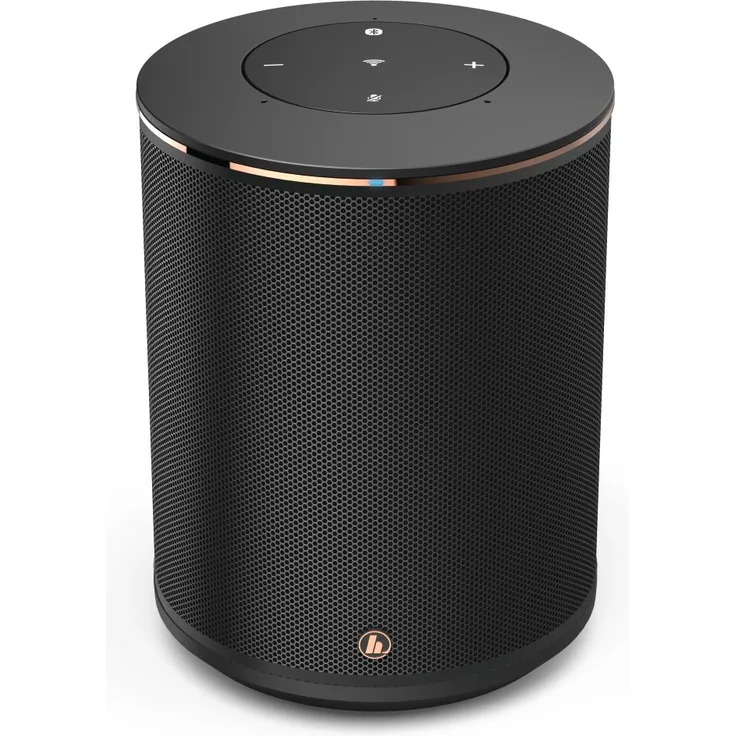 Hama Sirium 1400 ABT Multiroom-Lautsprecher mit Alexa, Webradio, geeignet für Indoor, schwarz