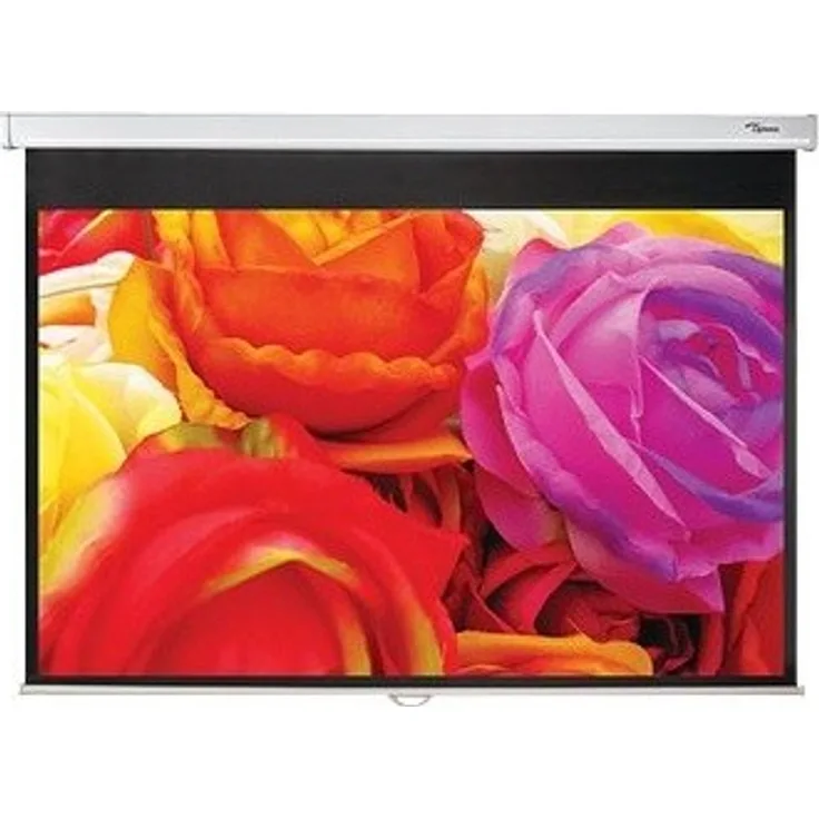 Optoma DS-1095PMG+ 