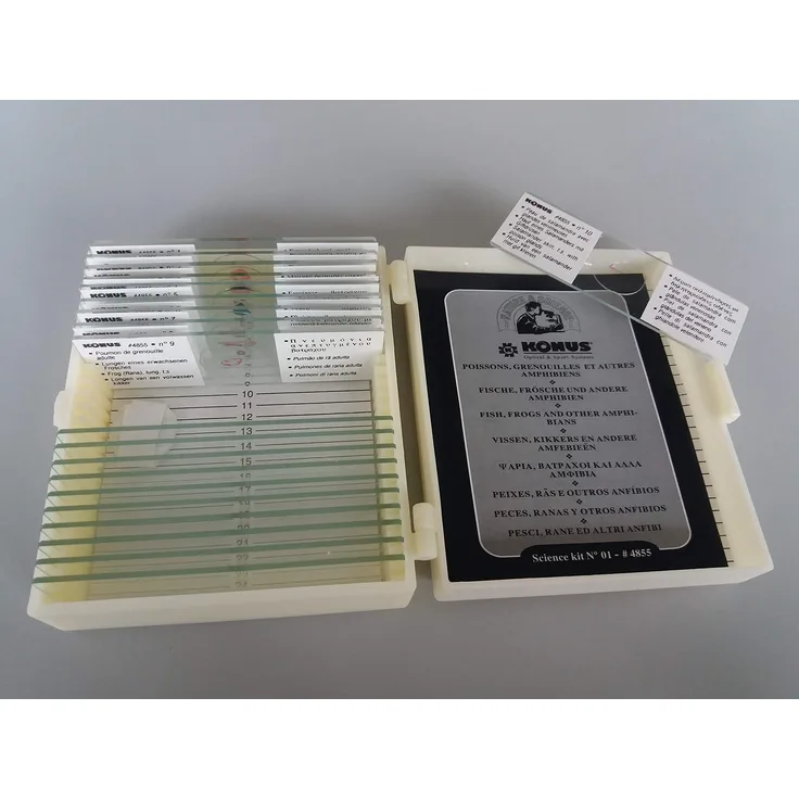 Kronus Zoologie 10 Stück Fische, Frösche und Amphibien, Slide Set – Mehrfarbig, Eine Größe