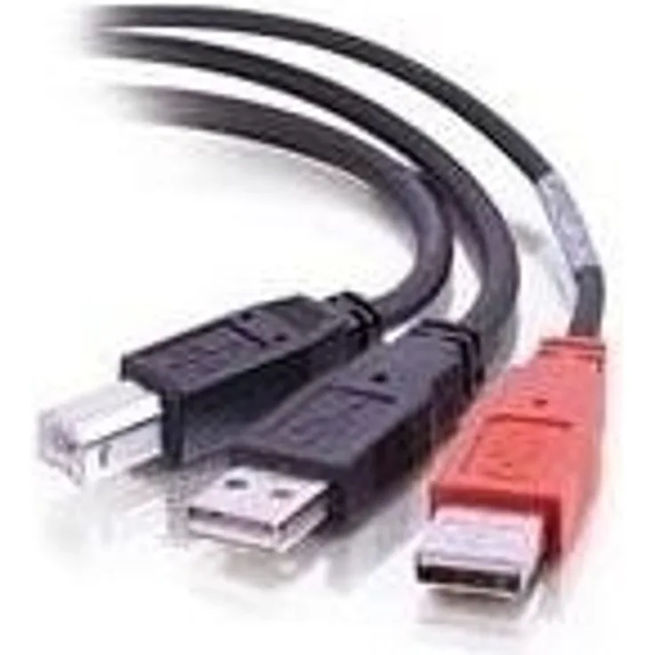 CABLESTOGO Cables to Go 81578 Y-Kabel (USB 2.0, Typ-B-Stecker auf 2X Typ-A-Stecker, 2m)