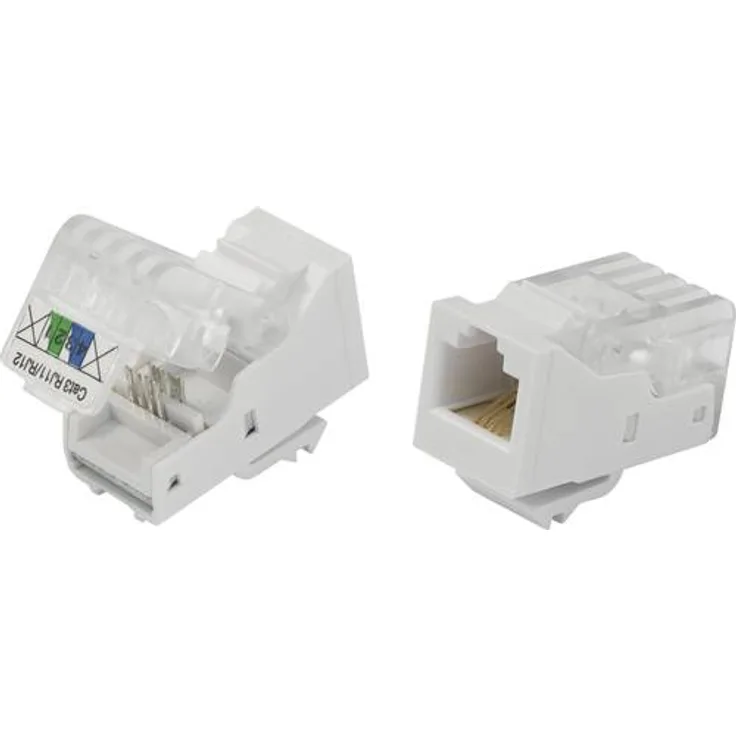 TRU Components Modularbuchse, werkzeuglos Buchse, gerade 93014c937 Natur 817968 1St.