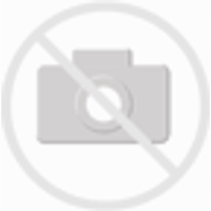 Bild für Tesoro Tizona Spectrum Mechanische Gaming Tastatur ohne Numpad RGB Beleuchtung QWERTZ Deutsches Tastaturlayout Keyboard mit 3 Daumentasten Kailh Red Switches