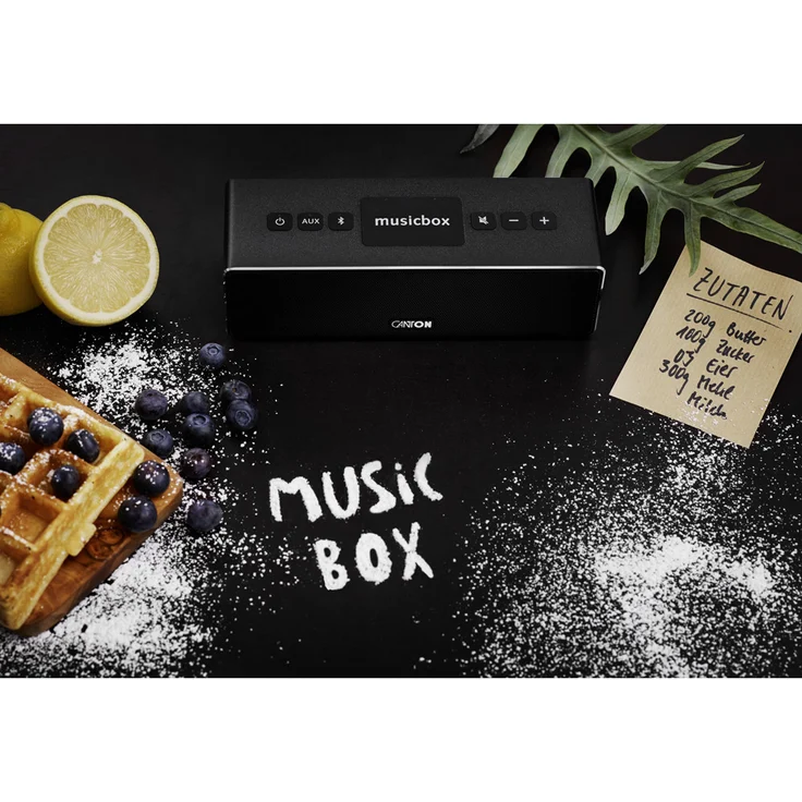 Canton Musicbox XS (03686) Bluetooth-Lautsprecher, titan – Bild 3