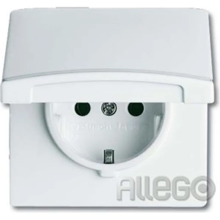 Busch-Jaeger 20EUGK-34-101 BUSC 20 EUGK-34-101 AW44 Steckdose Mit Klappdeckel