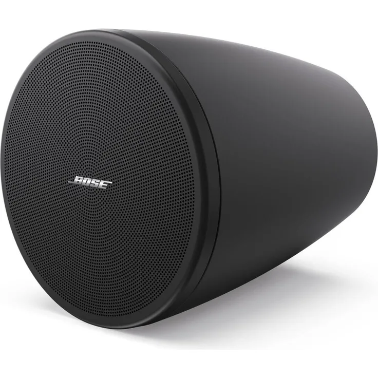Bose DesignMax DM3P Lautsprecher schwarz (1 Paar)