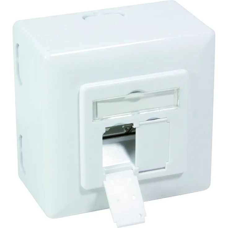 BIGtec CAT.6 Netzwerkdose Dose Kombidose Aufputz / Unterputz Netzwerk Datendose RAL 9003 Signalweiß für Verlegekabel CAT.5 CAT.5e CAT.6 CAT.6a CAT.7 CAT.7a