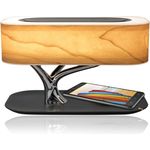 4smarts Smart-Bonsai-QI B7 Induktiv-Ladestation mit Bluetooth Lautsprecher & Lampe, Qi Ladestation, schwarz