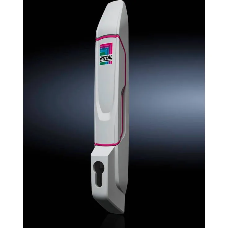 Rittal VX 8618.250 Komfortgriff für Profilhalbzylinder Lichtgrau (RAL 7035) 1St.