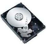 Seagate Constellation ES 2TB (ST32000644NS)