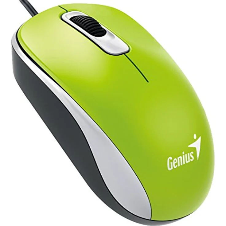 Genius DX-110 USB Optisch 1000DPI Ambidextrös Grün Maus - Mäuse (USB, Büro, Gedrückte Tasten, Rad, Optisch, 1000 DPI)