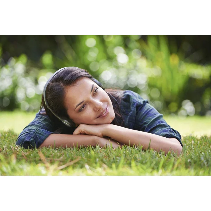 Panasonic RP-HT030E-S On-Ear-Kopfhörer, silber – Bild 3