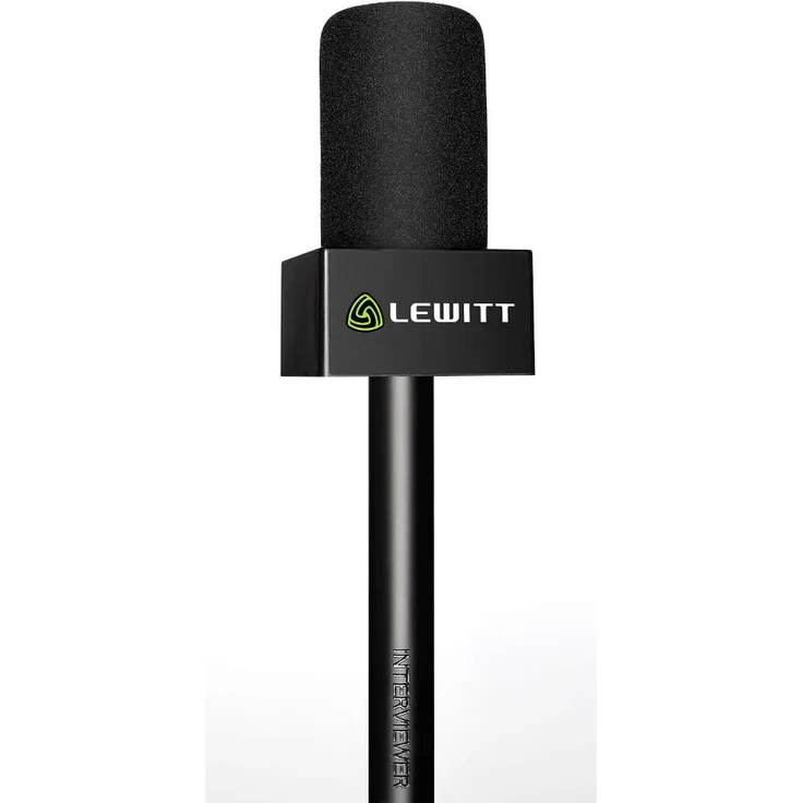 LEWITT INTERVIEWER