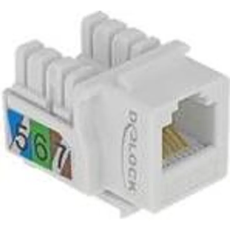 DeLock - Modulare Eingabe - RJ-12 - weiß