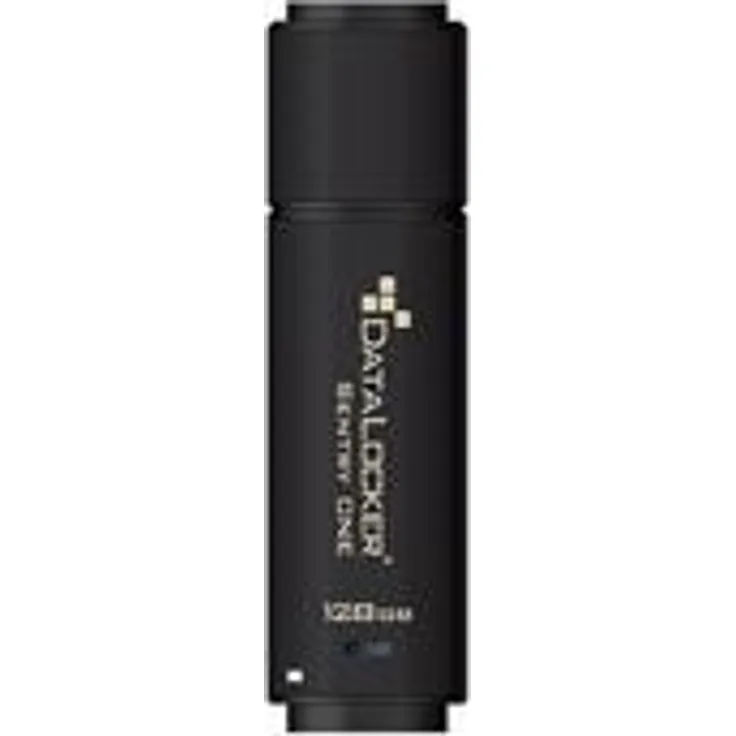 DataLocker Sentry ONE - USB-Flash-Laufwerk - verschlüsselt - 16GB - USB 3,1 Gen 1 - FIPS 140-2 Level 3 (SONE016)