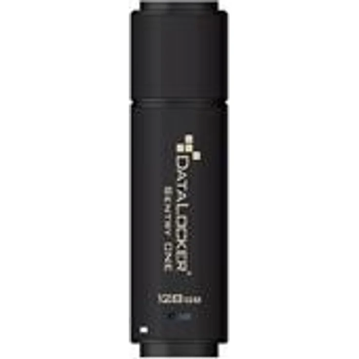 DataLocker Sentry ONE - USB-Flash-Laufwerk - verschlüsselt - 8GB - USB 3,1 Gen 1 - FIPS 140-2 Level 3 (SONE008) – Bild 1