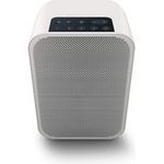 Bluesound Pulse FLEX 2I Multiroom-Lautsprecher mit Alexa, Webradio, geeignet für Indoor, Outdoor, weiß