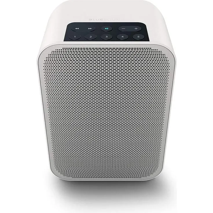 Bluesound Pulse FLEX 2I Multiroom-Lautsprecher mit Alexa, Webradio, geeignet für Indoor, Outdoor, weiß