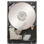 Seagate ST31000424SS 1 TB