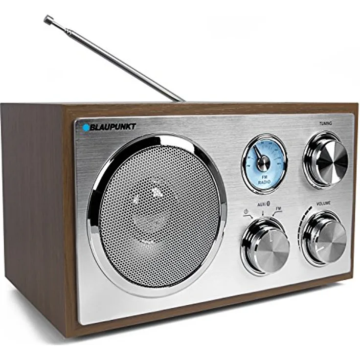 Blaupunkt RXN 180 Vers. 2018 holzoptik