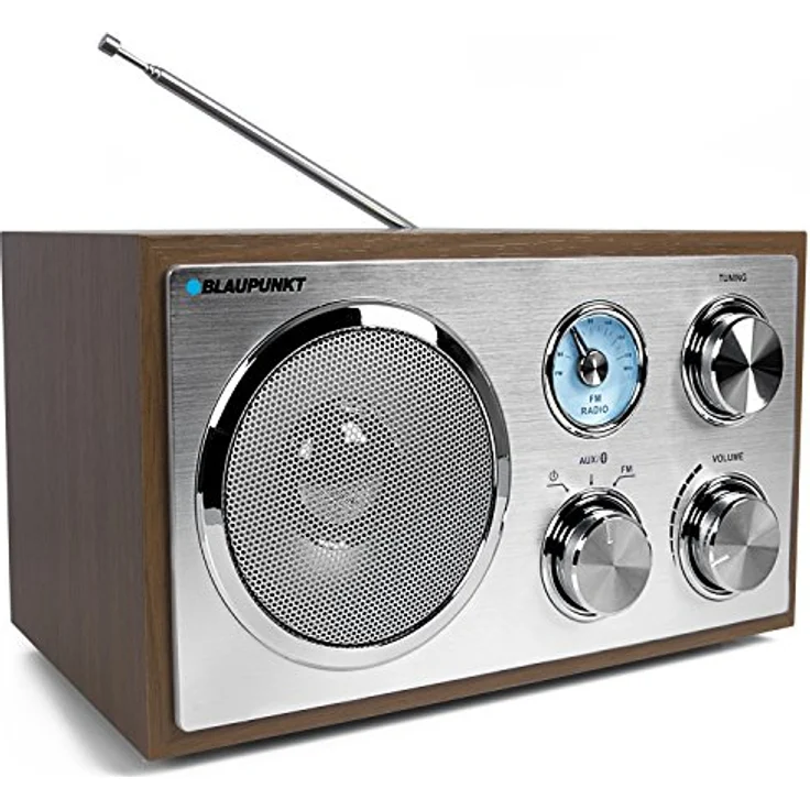 Blaupunkt RXN 180 Vers. 2018 holzoptik – Bild 1
