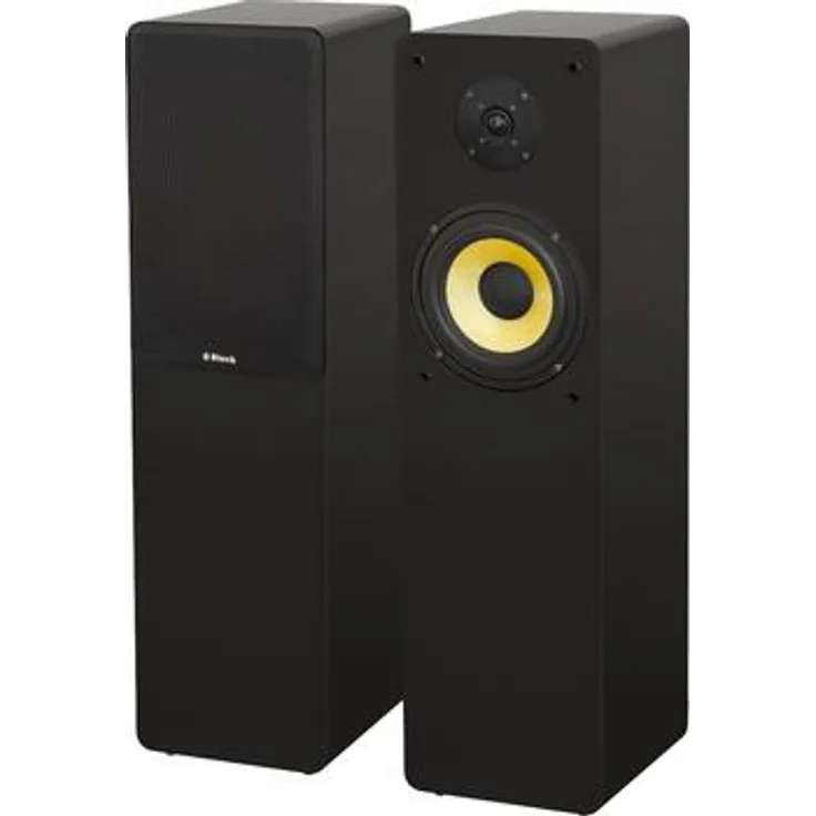 Block SL-250 Standlautsprecher, mattschwarz, mit professionelle Schraub-Steck-Terminals Standlautsprecher schwarz