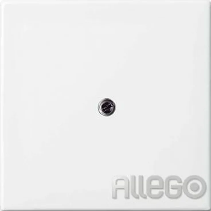 Busch-Jaeger Zentralplatte TAE 2536-914 Busch-balance SI aws glz Busch-Jaeger Ze